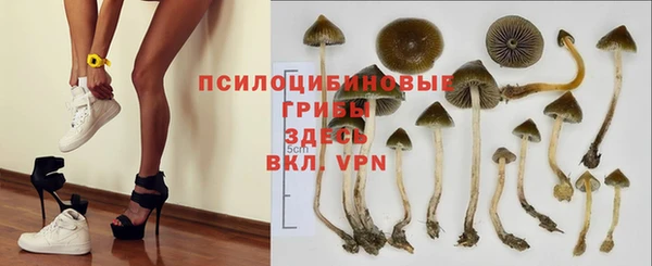 стафф Абинск