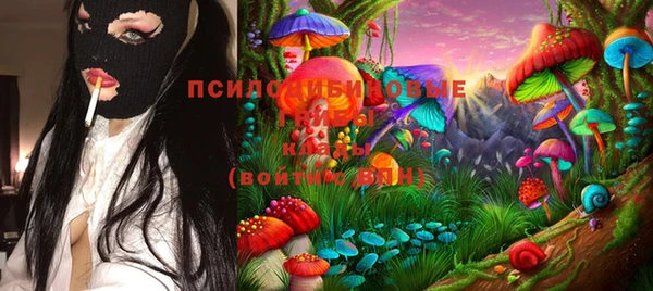 прущая мука Абаза