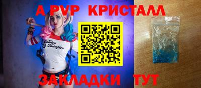 индика Новокубанск