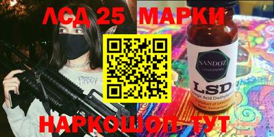 скорость Новозыбков