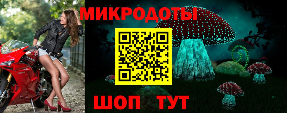 Псилоцибиновые грибы Psilocybine cubensis  Вход с VPN  Чебаркуль 